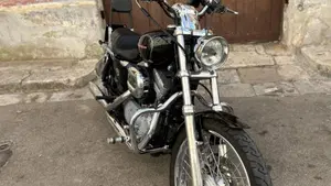 Harley-Davidson 883 Custom (2001 - 05) - XL 53C  (6)