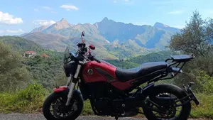 Benelli Leoncino 500 ABS (2017 - 20)  (4)