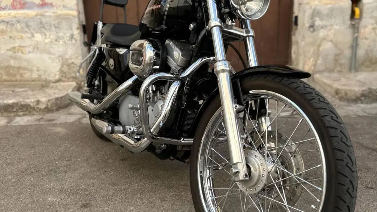 Harley-Davidson 883 Custom (2001 - 05) - XL 53C  (3)