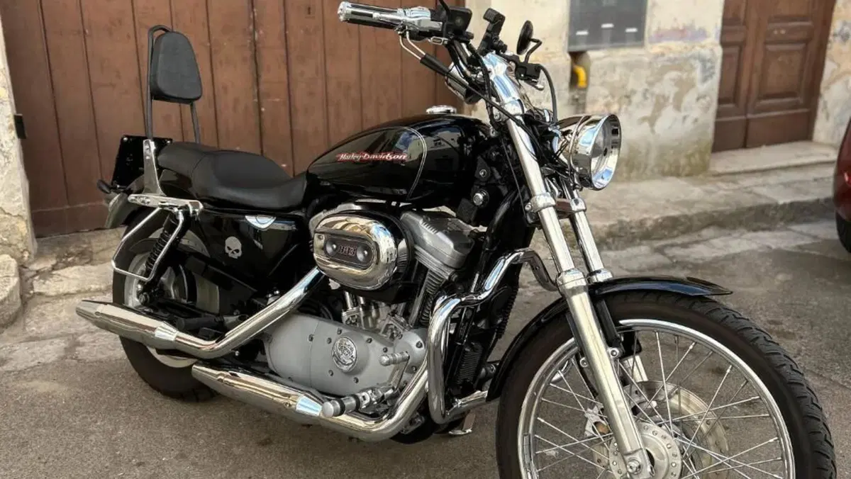 Harley-Davidson 883 Custom (2001 - 05) - XL 53C  (2)