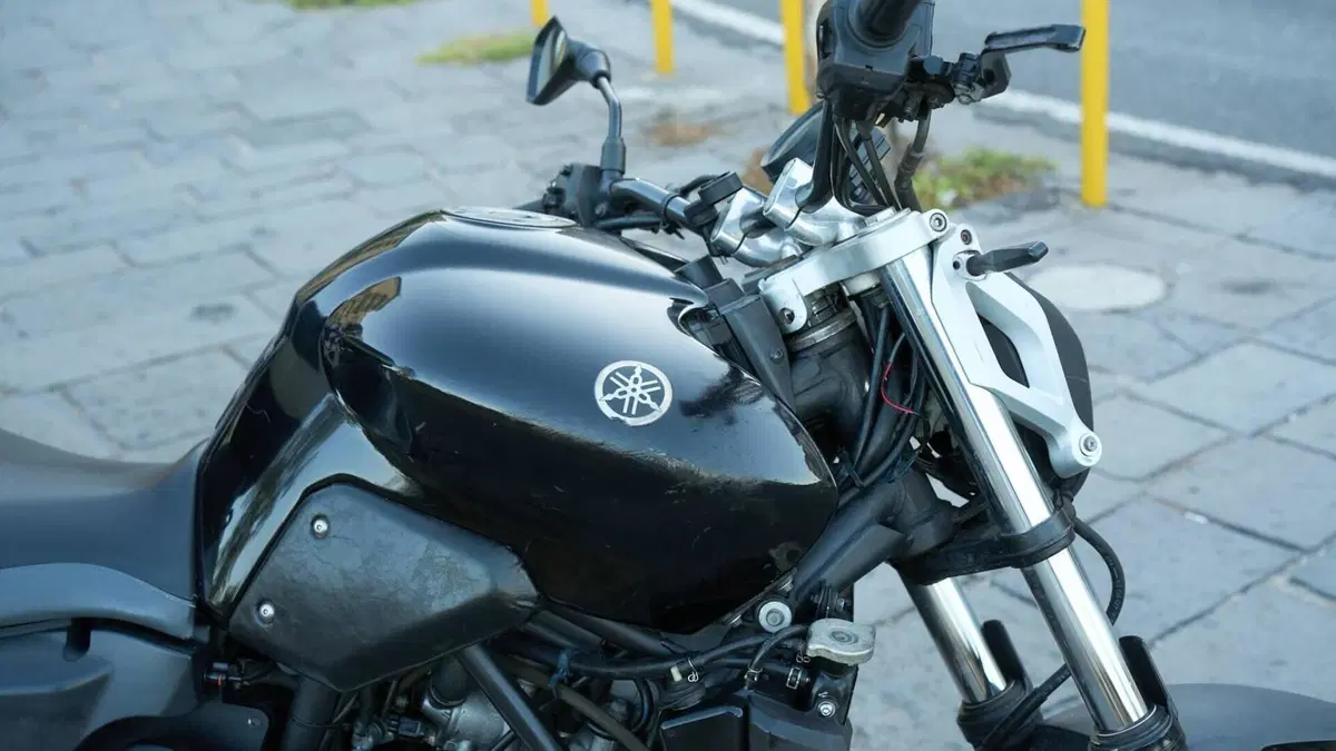 Yamaha MT-03 (2006 - 14)  (7)