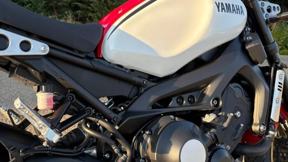 Yamaha XSR 900 ABS (2016 - 20)  (3)