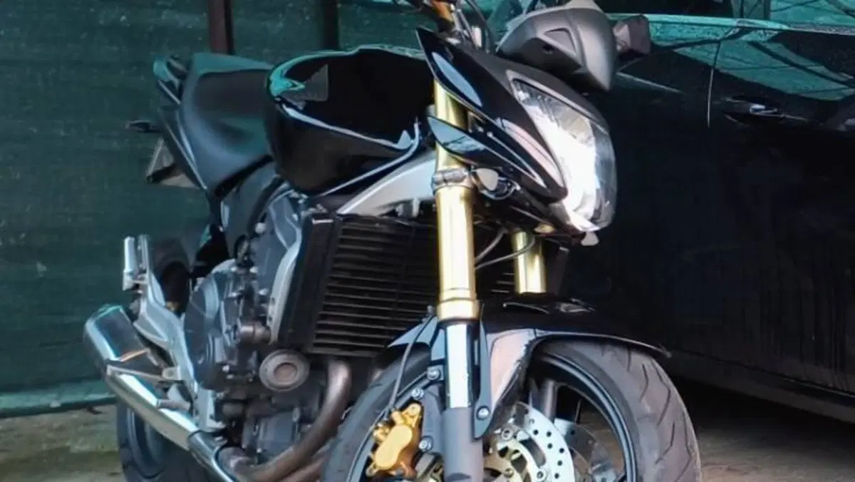 Honda Hornet 600 (2007 - 10) 
