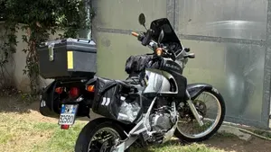Kawasaki KLE 500 (2001 - 04)  (4)