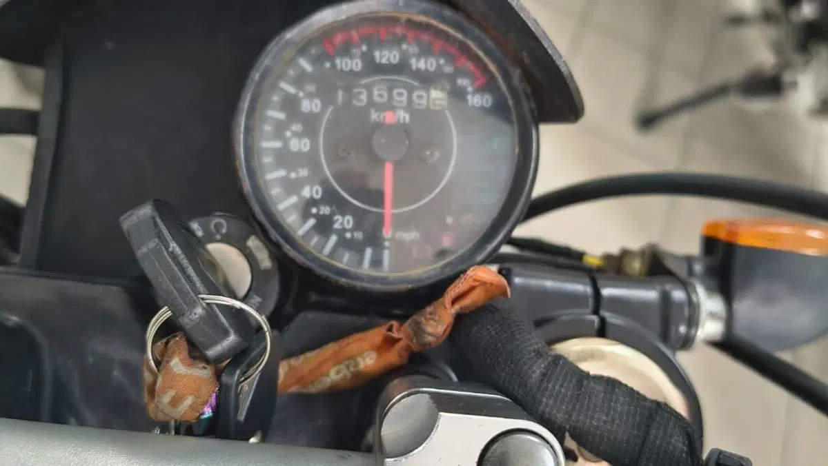 Vervemoto Tracker 250i (2019 - 24)  (4)