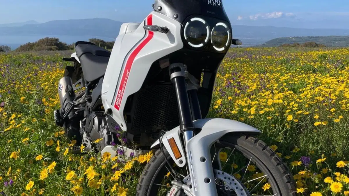Ducati DesertX (2022 - 25) 