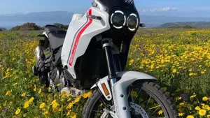 Ducati DesertX (2022 - 25) 