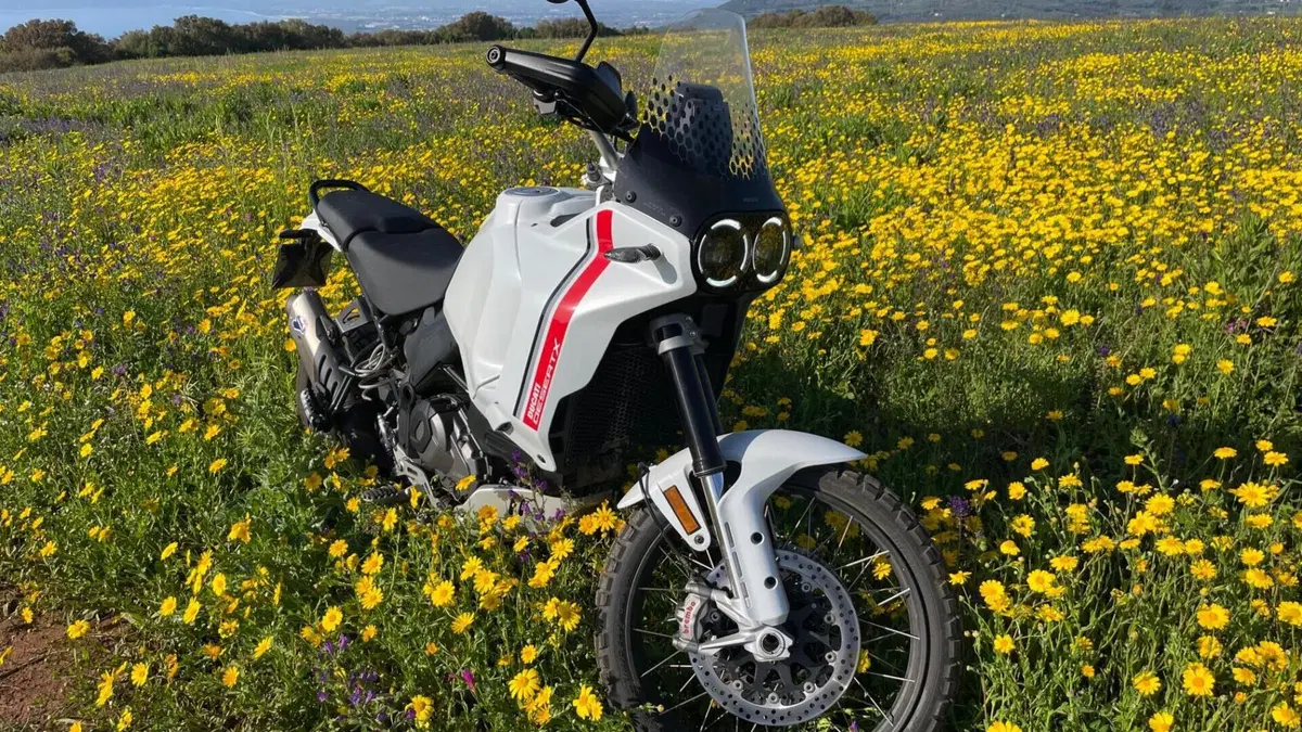 Ducati DesertX (2022 - 25)  (2)