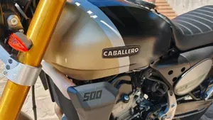 Fantic Motor Caballero 500 Scrambler Deluxe (2021 - 23)  (11)