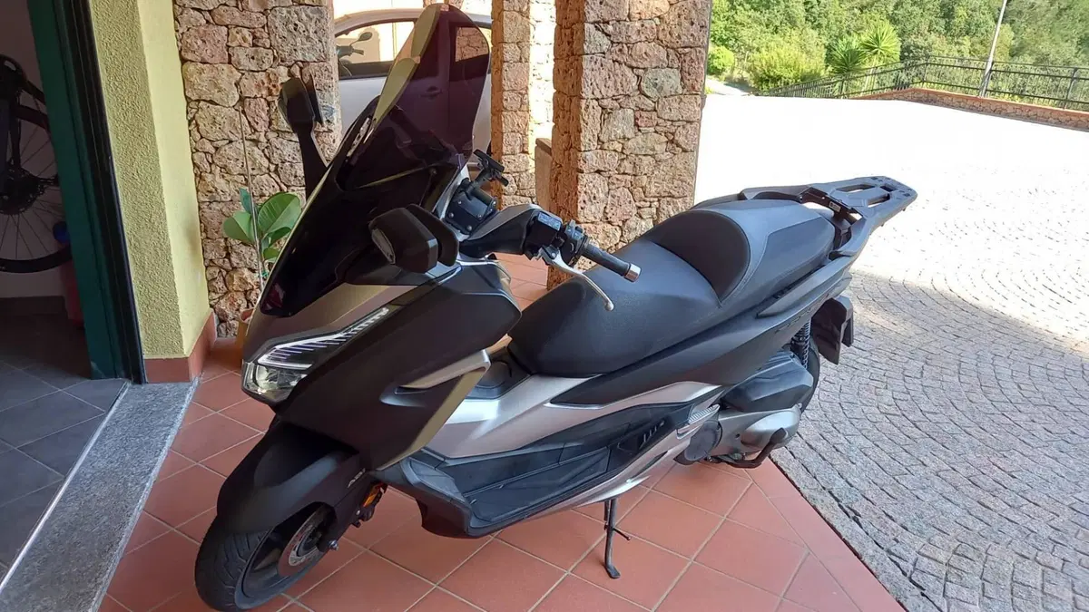 Honda Forza 300 Deluxe ABS (2018 - 20)  (6)
