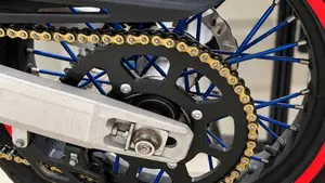 Betamotor RR 125 4T Motard R (2023 - 24)  (5)