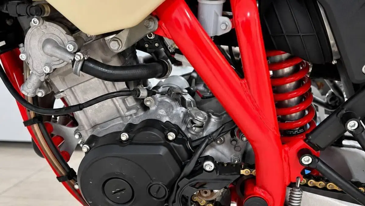 Betamotor RR 125 4T Motard R (2023 - 24)  (6)