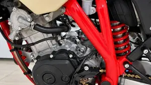 Betamotor RR 125 4T Motard R (2023 - 24)  (6)