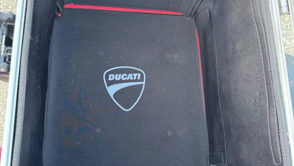 Ducati Multistrada 1260 Enduro (2019 - 21)  (7)