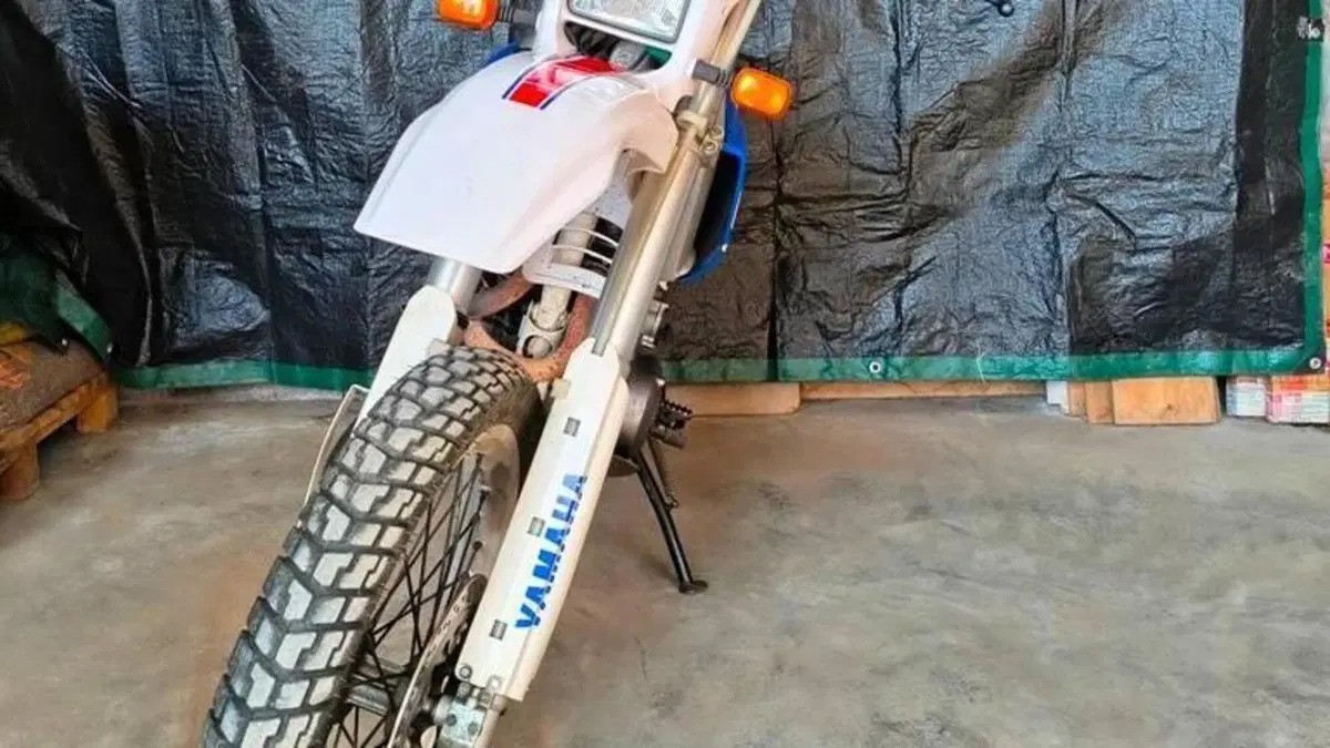 Yamaha TT 600 E (1994 - 03)  (5)