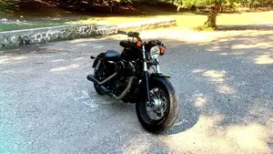 Harley-Davidson 1200 Forty-Eight (2010 - 15)  (6)