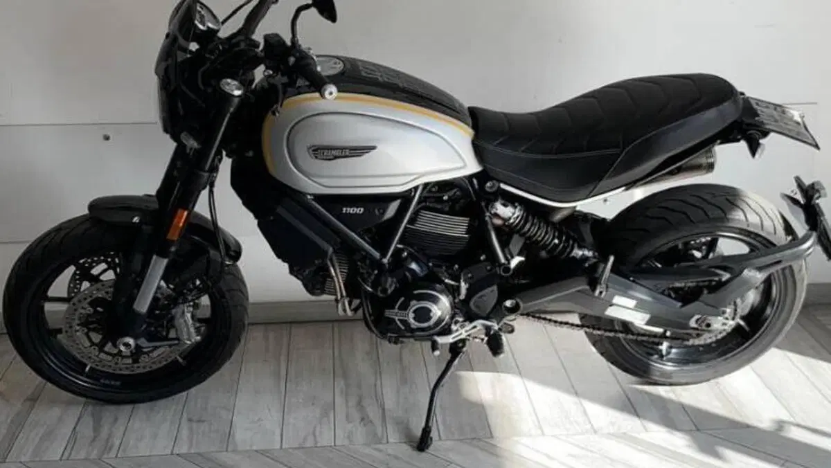 Ducati Scrambler 1100 Pro (2020 - 22)  (5)