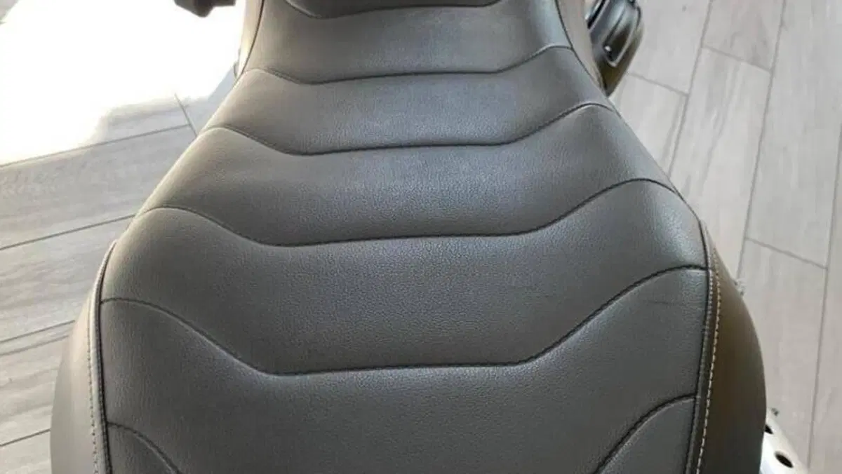 Ducati Scrambler 1100 Pro (2020 - 22)  (17)