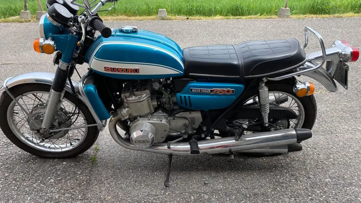 Suzuki   (2)