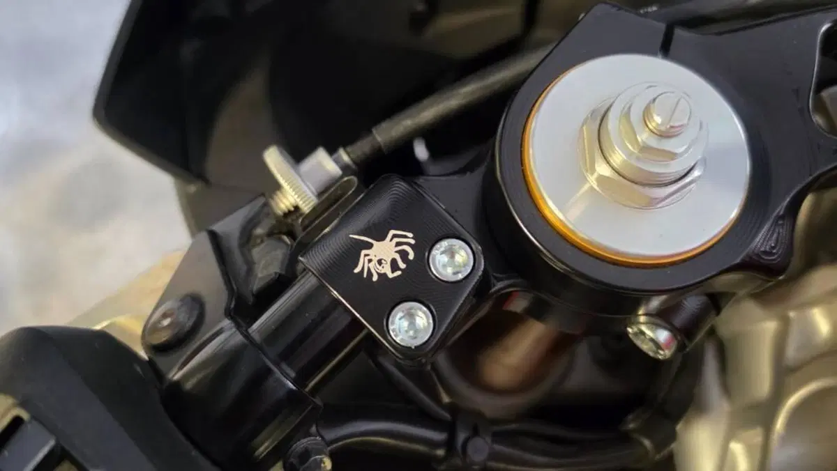 Aprilia RS 660 (2020 - 24)  (3)
