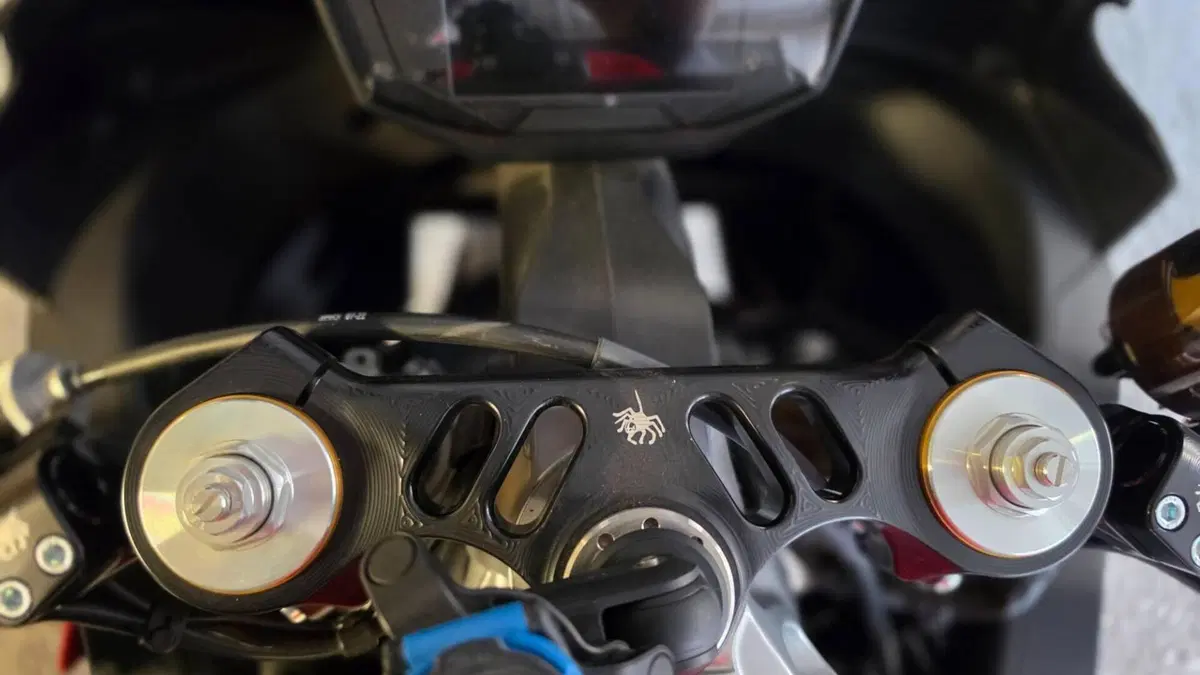 Aprilia RS 660 (2020 - 24)  (11)
