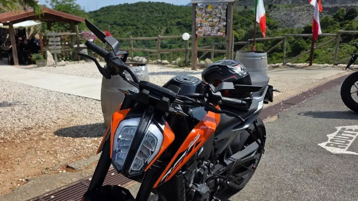 KTM 790 Duke L (2023 - 24)  (3)