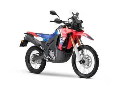 Honda CRF 300 Rally (2025 - 26) - Annuncio 10102611