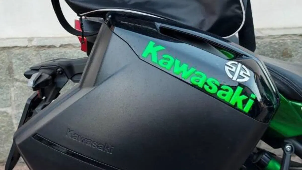 Kawasaki Ninja H2 SX SE (2018 - 20)  (5)