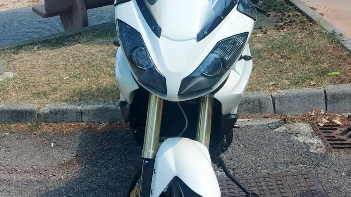 Triumph Tiger 1050 (2006 - 12)  (3)