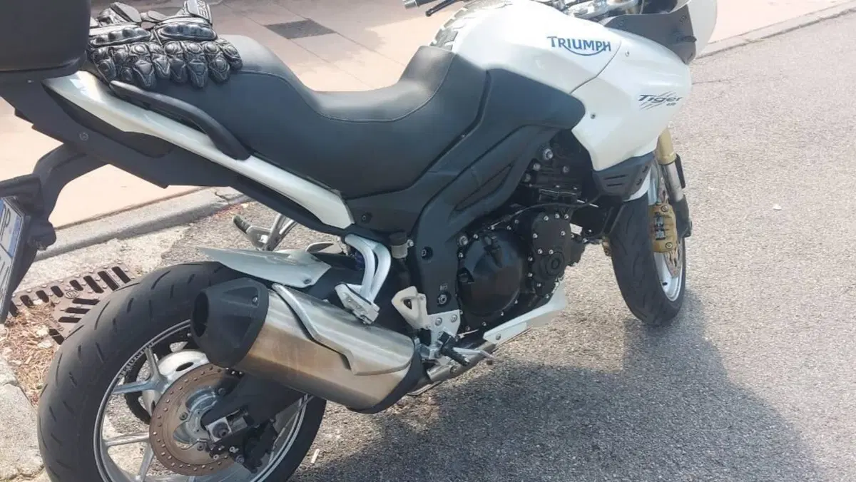 Triumph Tiger 1050 (2006 - 12)  (4)