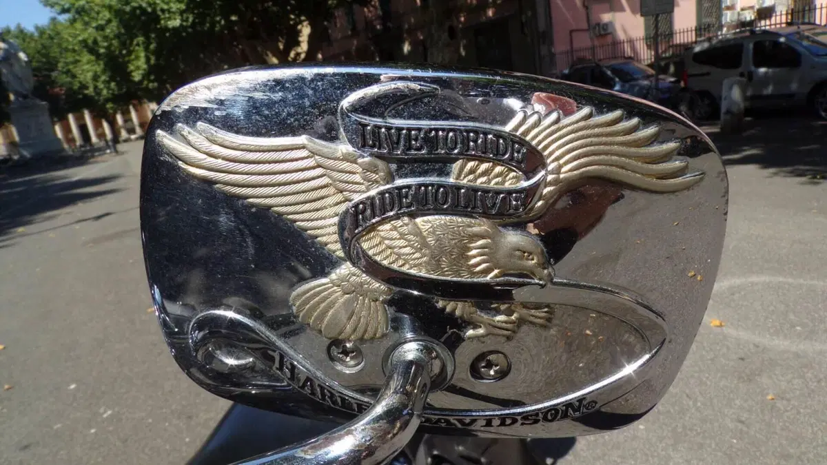 Harley-Davidson 883 Standard (1987 - 93) - XLH  (12)