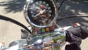 Harley-Davidson 883 Standard (1987 - 93) - XLH  (13)