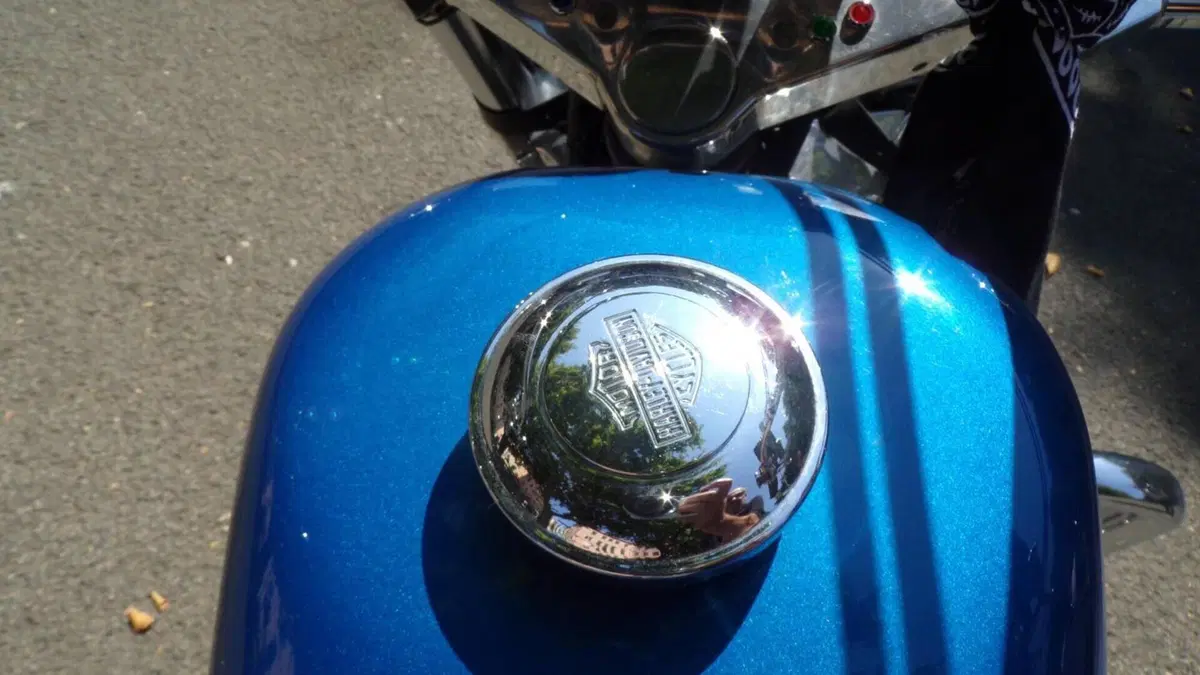 Harley-Davidson 883 Standard (1987 - 93) - XLH  (15)