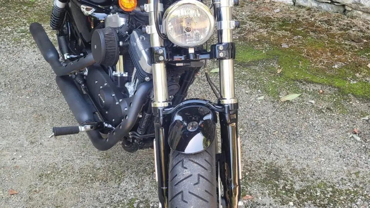 Harley-Davidson 1200 Forty-Eight (2016 - 20)  (2)