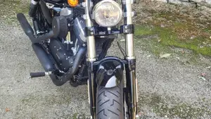 Harley-Davidson 1200 Forty-Eight (2016 - 20)  (2)