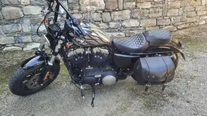 Harley-Davidson 1200 Forty-Eight (2016 - 20)  (3)