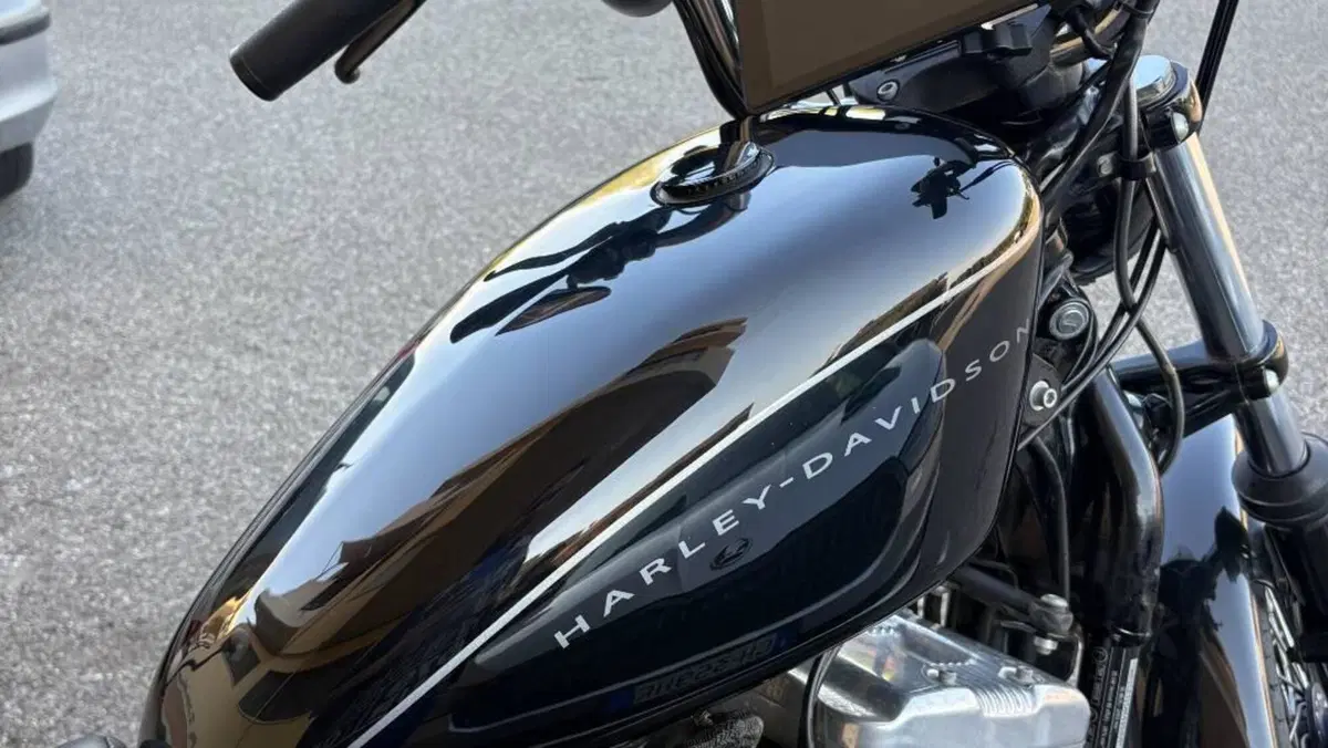 Harley-Davidson XL 1200N Nightster (2008 - 12)  (6)