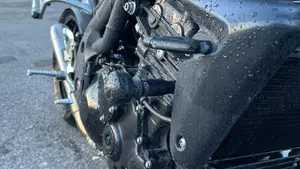 Triumph Speed Triple 1050 (2005 - 11)  (5)