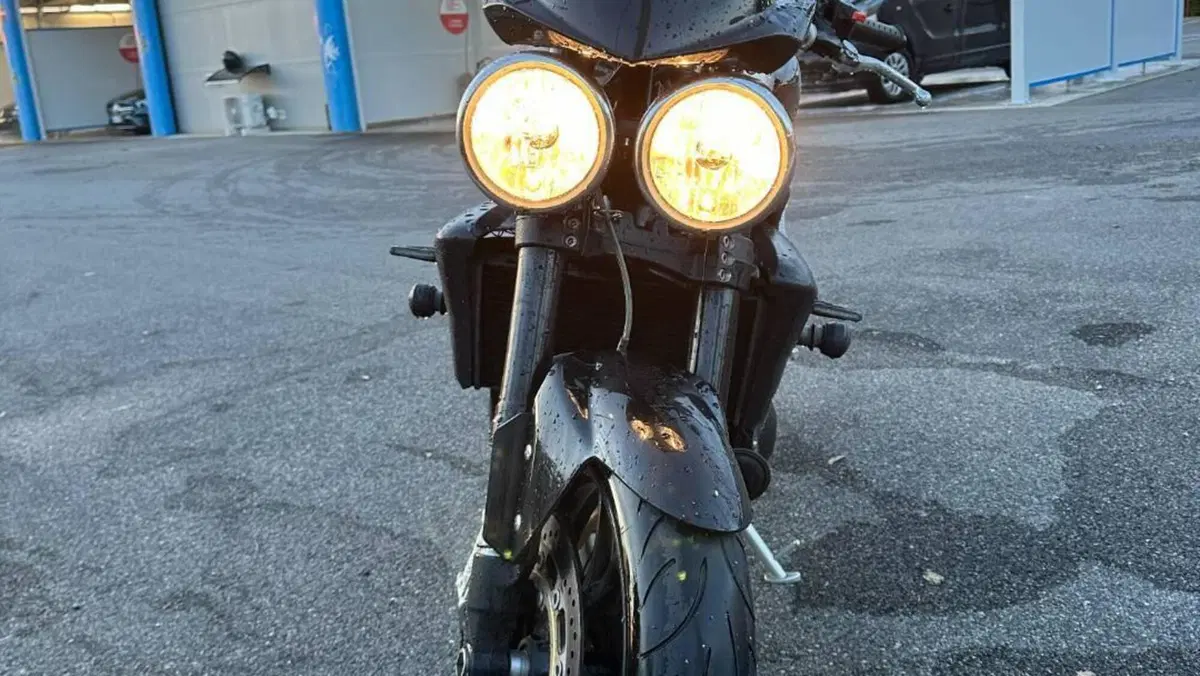 Triumph Speed Triple 1050 (2005 - 11)  (6)
