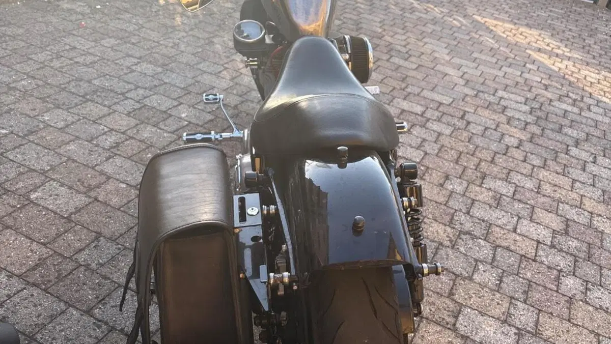 Harley-Davidson 883 Custom (2001 - 05) - XL 53C  (2)