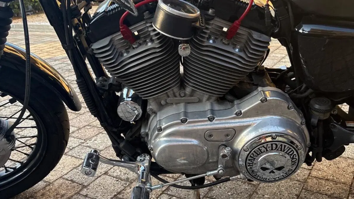 Harley-Davidson 883 Custom (2001 - 05) - XL 53C  (3)