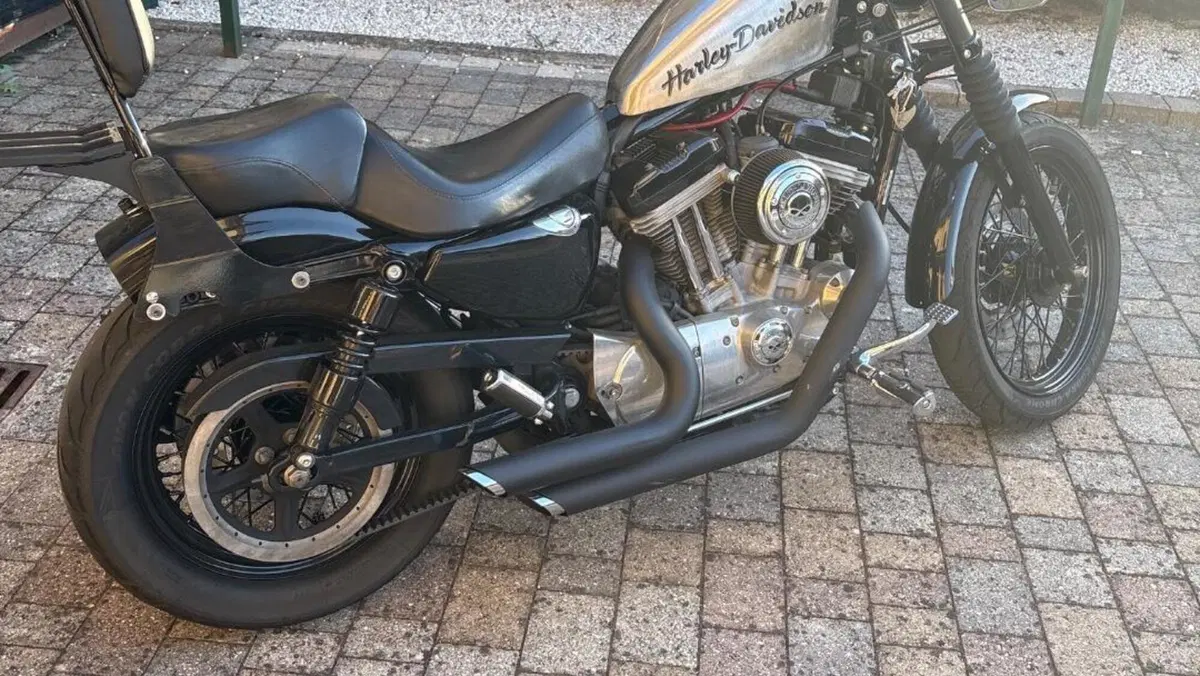 Harley-Davidson 883 Custom (2001 - 05) - XL 53C  (4)