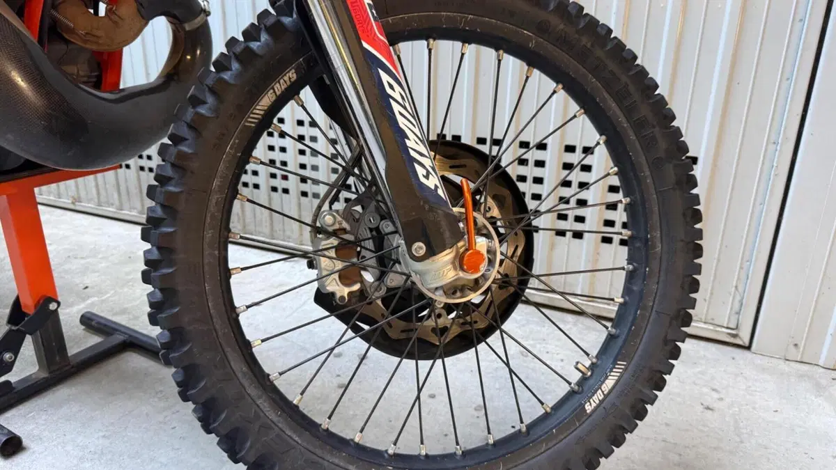 KTM 250 EXC TPI Six Days (2019)  (8)