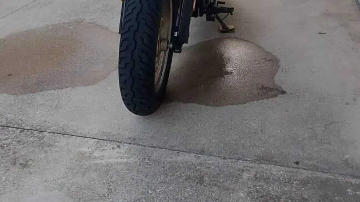 CFMOTO 450CL-C (2024 - 26)  (5)