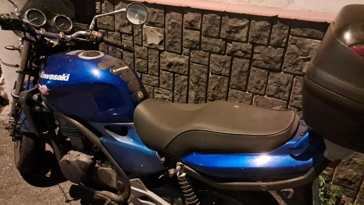 Kawasaki ER-5 500 (2001 - 06)  (3)