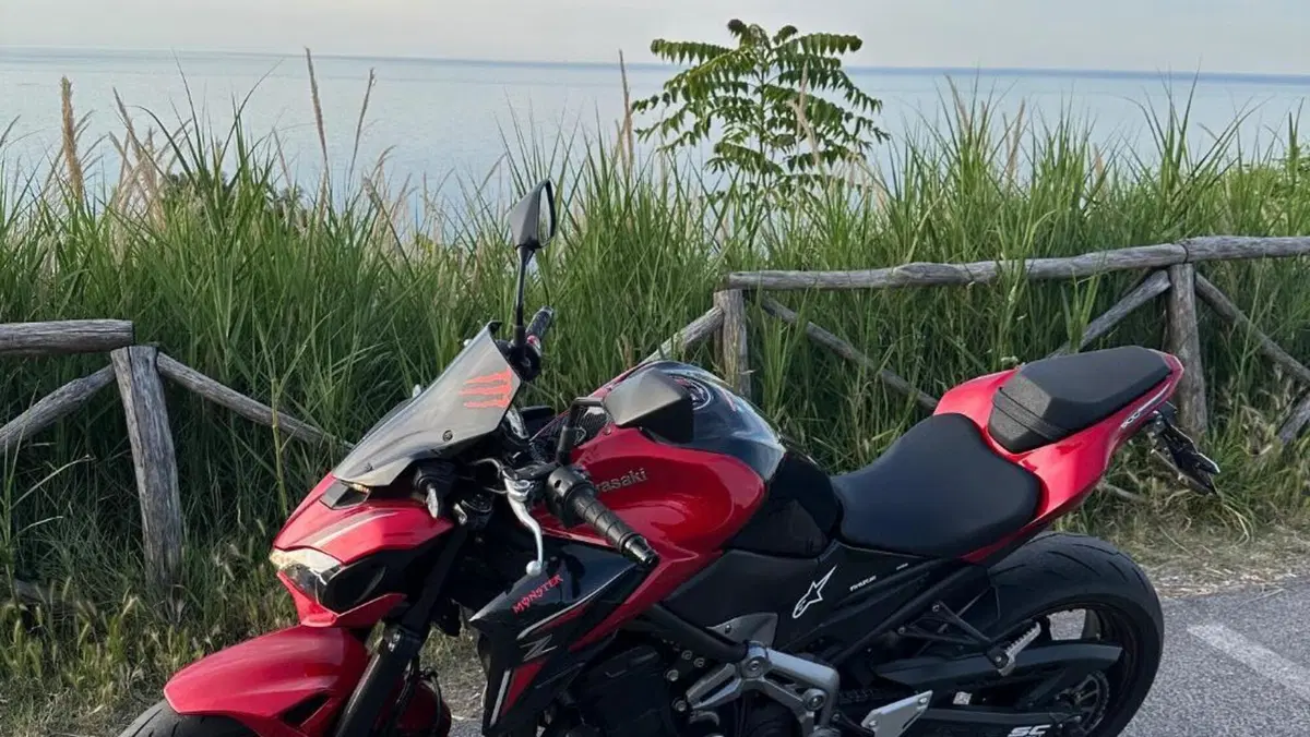 Kawasaki Z 900 Performance (2019)  (3)