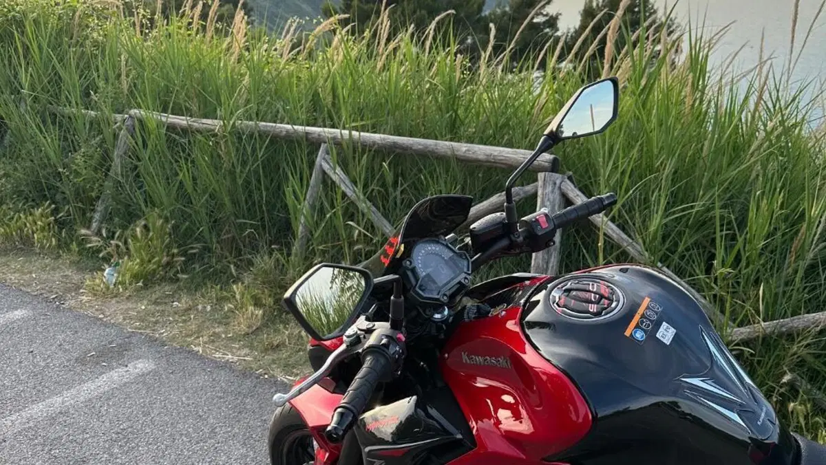 Kawasaki Z 900 Performance (2019)  (4)