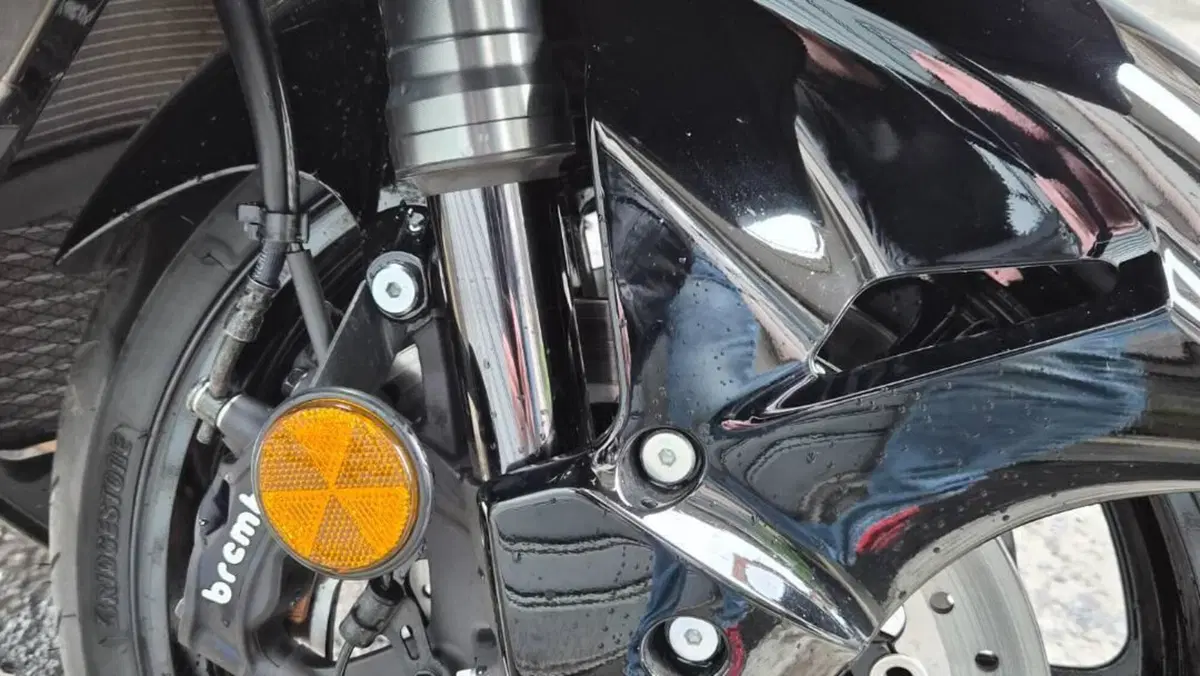 Suzuki GSX 1300 R Hayabusa (2025)  (7)