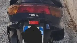 Yamaha Majesty 250 (1999 - 06)  (2)
