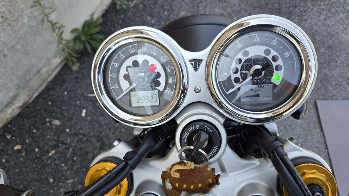 Triumph Speed Twin 1200 (2021 - 24)  (5)
